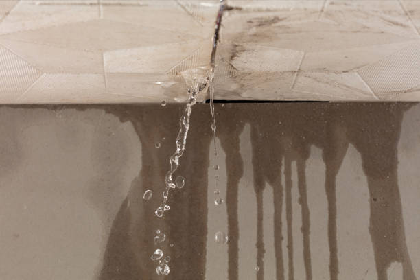 Professional Water Extraction technician working in Groveton, VA